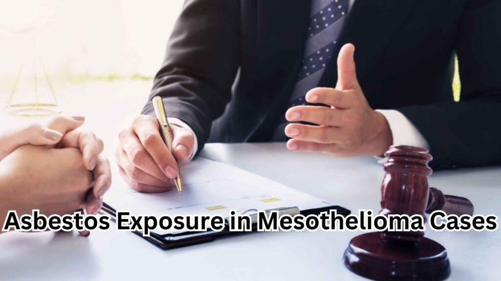  Asbestos Exposure in Mesothelioma Cases